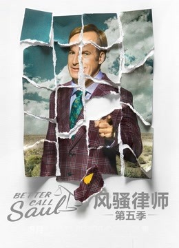 风骚律师第5季