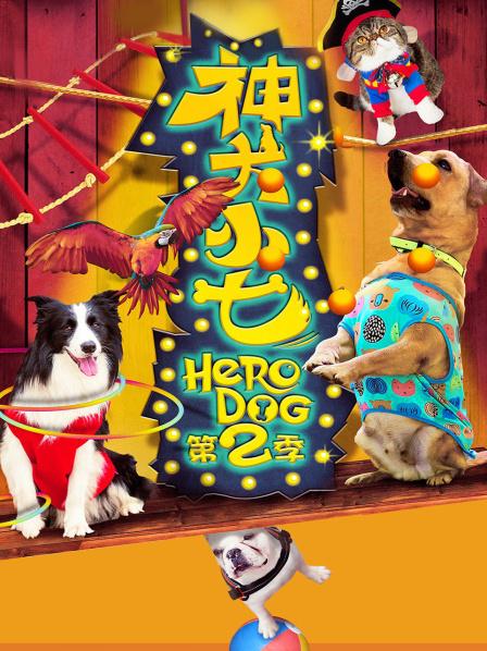 神犬小七第2季