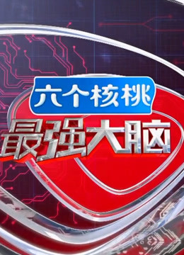 最强大脑第3季