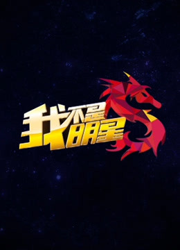 我不是明星第3季