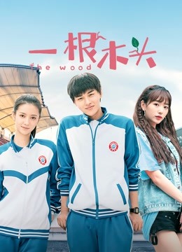 一根木头第1季