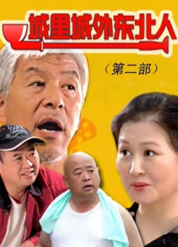 城里城外东北人2