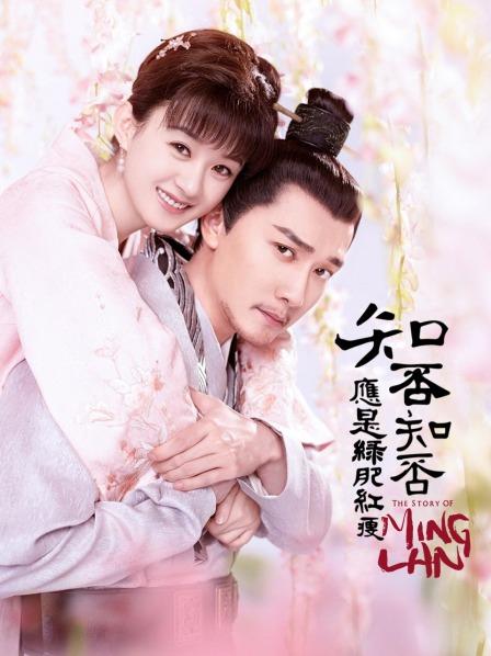 知否知否应是绿肥红瘦TV版