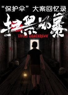 扫黑：“保护伞”大案回忆录
