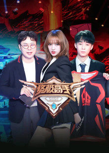 终极高手第2季