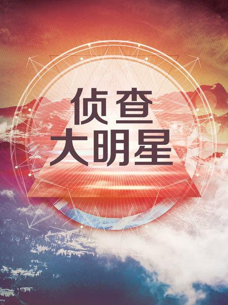 侦查大明星