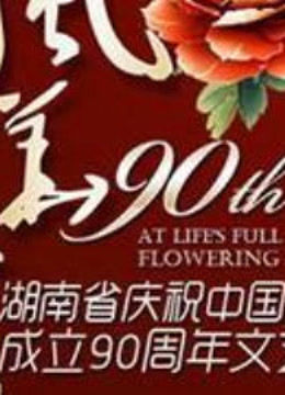 湖南卫视七一晚会