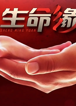 生命缘第1季