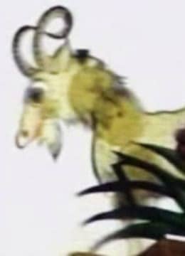 会摇尾巴的狼