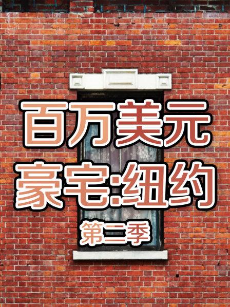 百万美元豪宅:纽约第2季