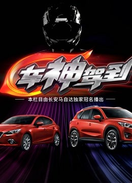 车神驾到网络版