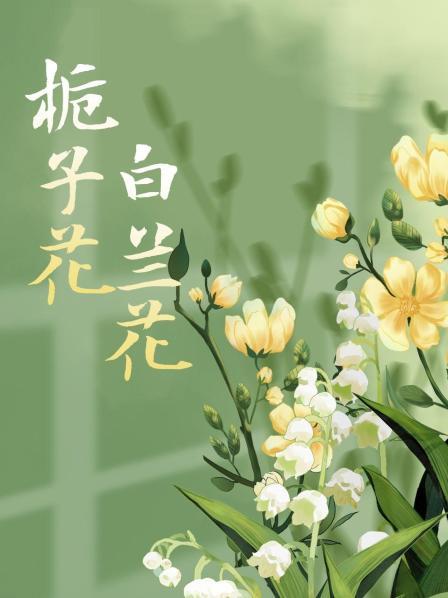 栀子花白兰花