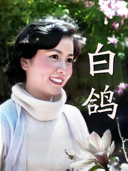 白鸽