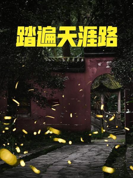 踏遍天涯路