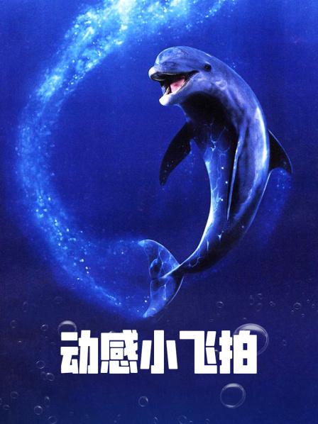 动感小飞拍