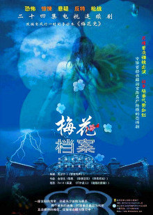 梅花档案海报剧照