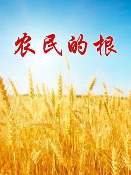 农民的根