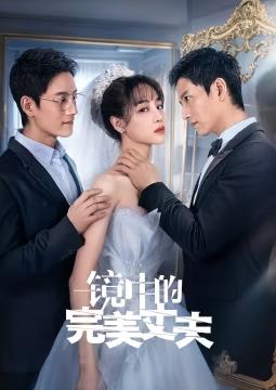 镜中的完美丈夫海报剧照
