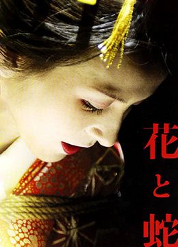 花与蛇2004